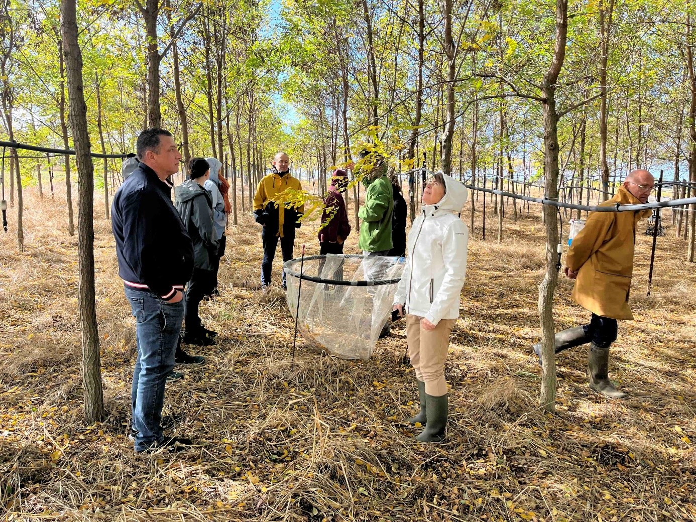 visite ACBB oct25 Diams2