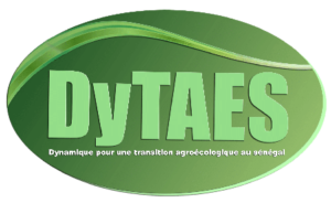Logo DyTAES