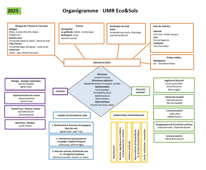 2025 Organigramme EcoSols