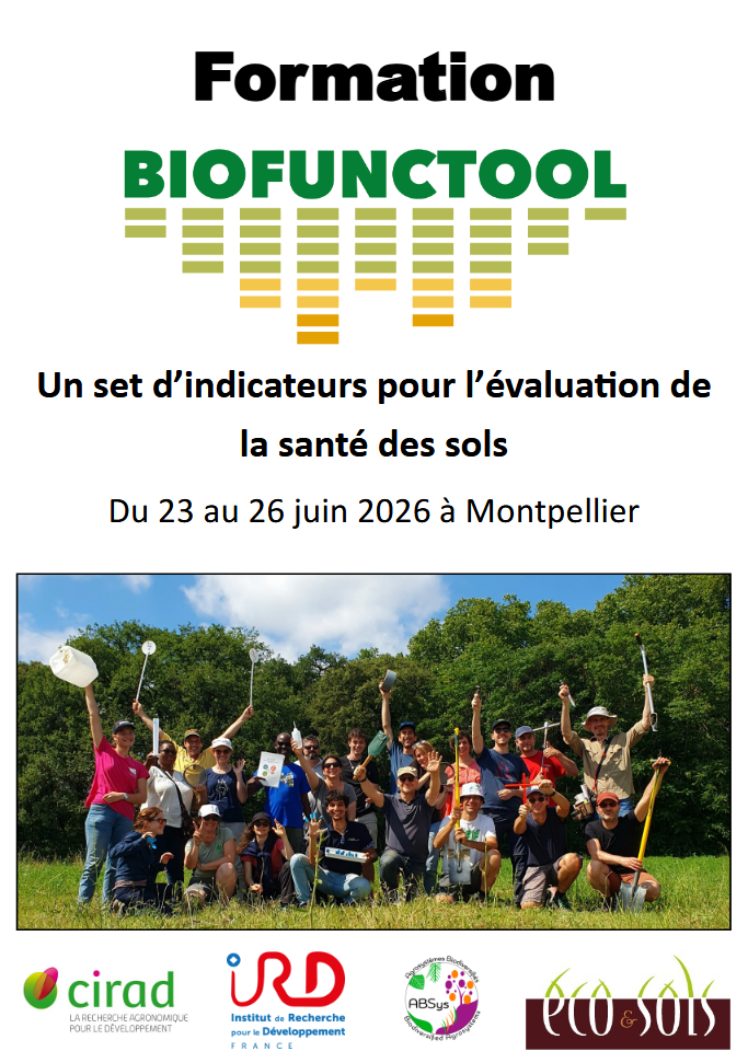 FormationBFTjuin2026