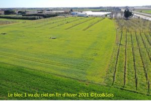 DIAMS Bloc 1 fin hiver 2021 web