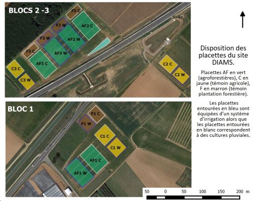 Dispositif Blocs DIAMS web